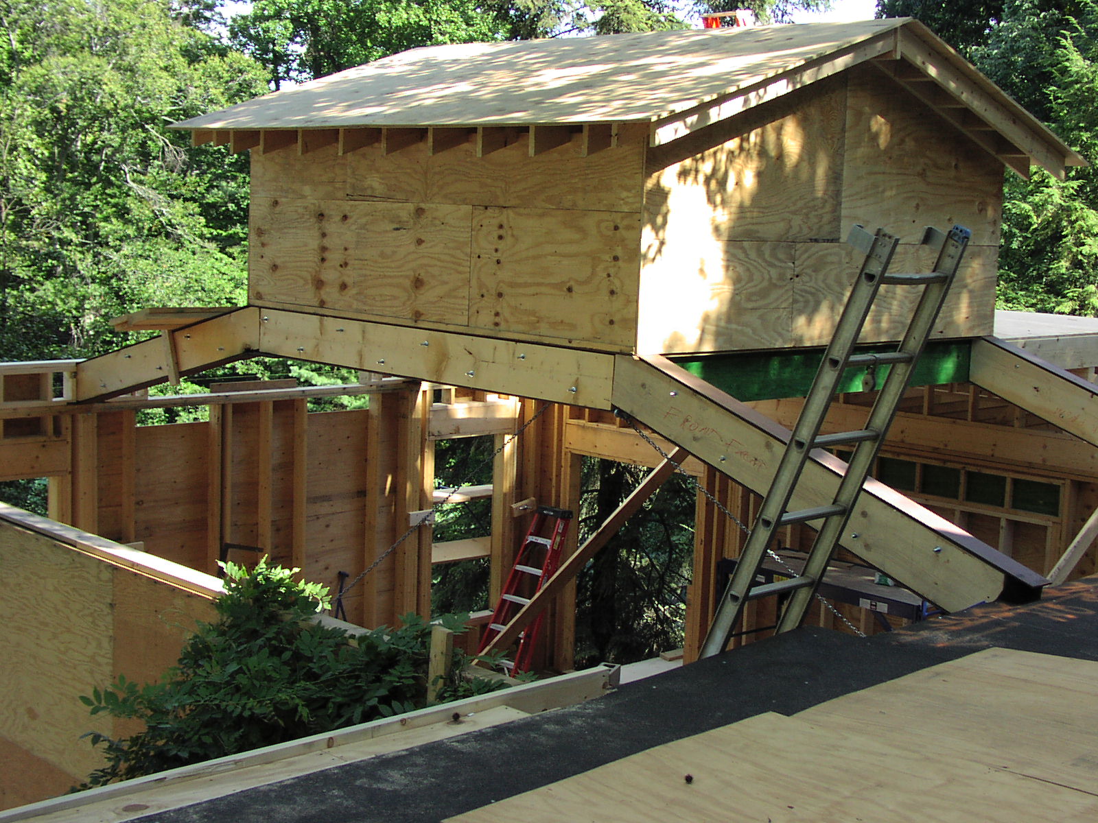 Cuppola supported by steel frame.